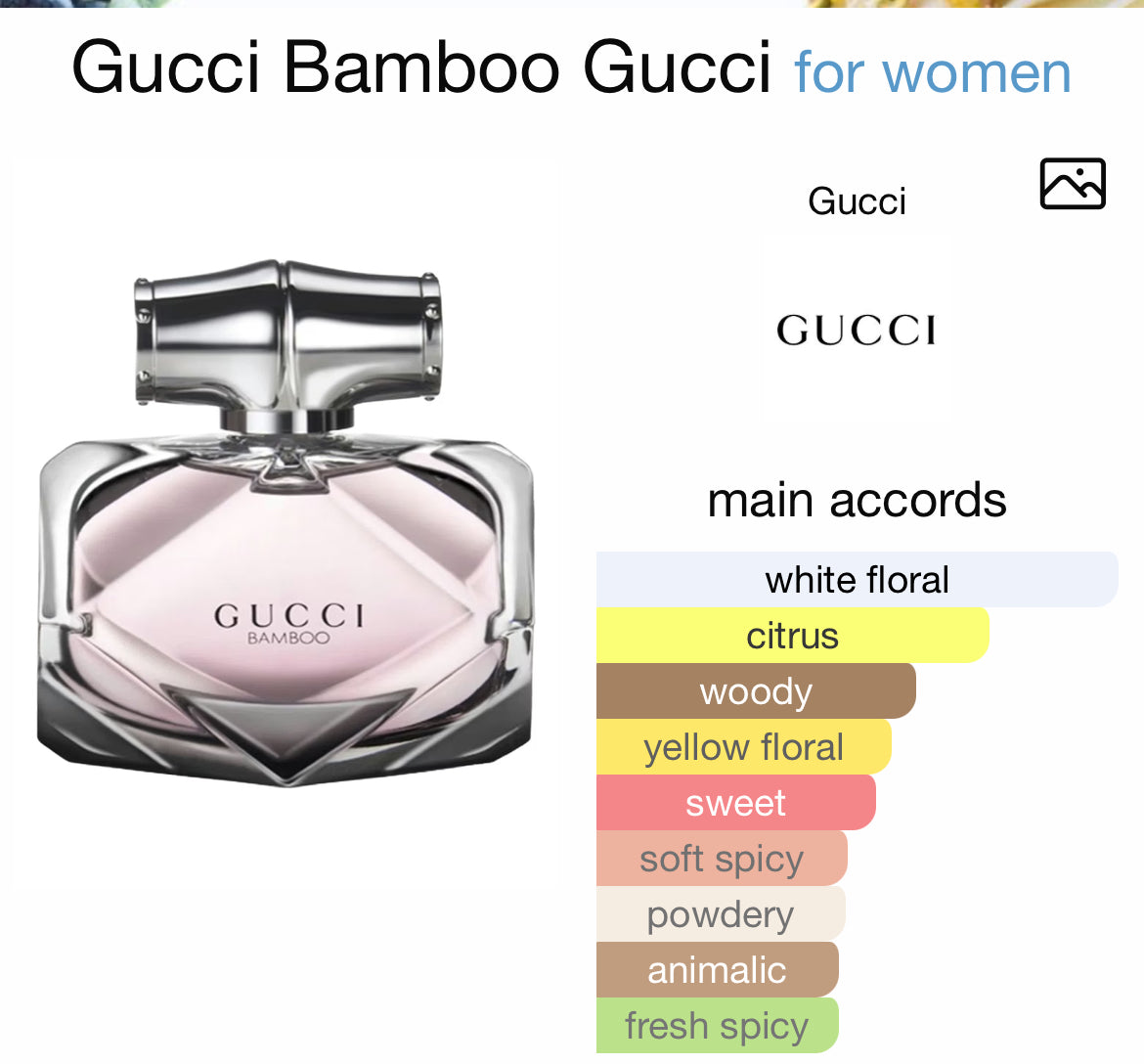Gucci Bamboo Gucci