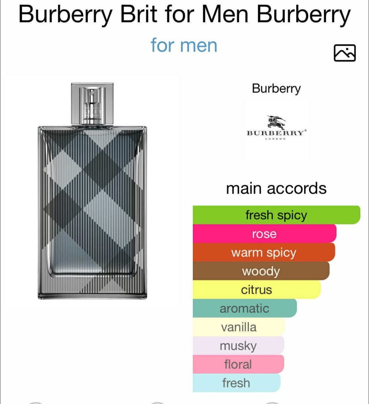 Burberry Brit for Men Burberry