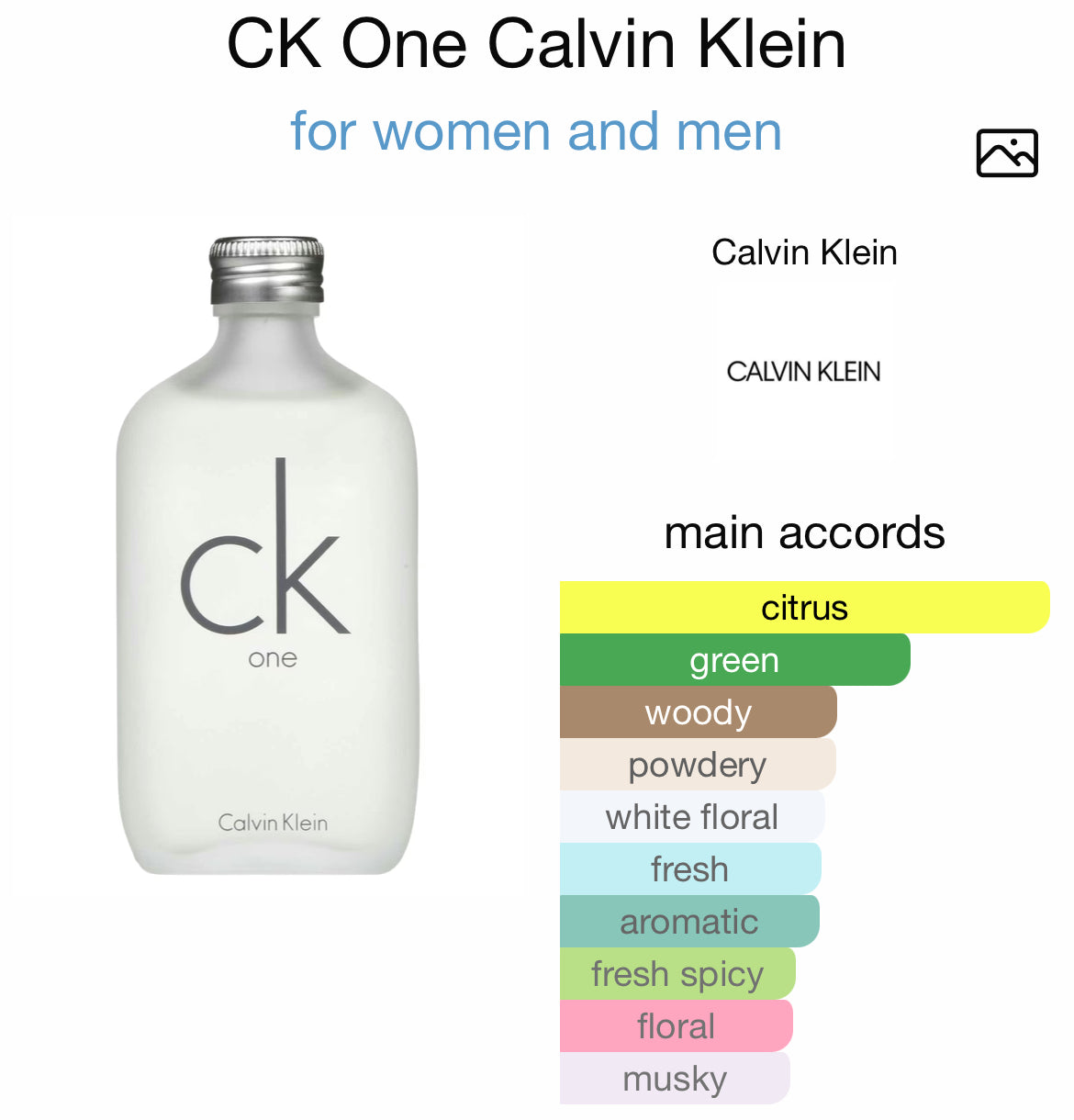 CK One Calvin Klein